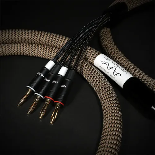 Custom Made Bi Amp
